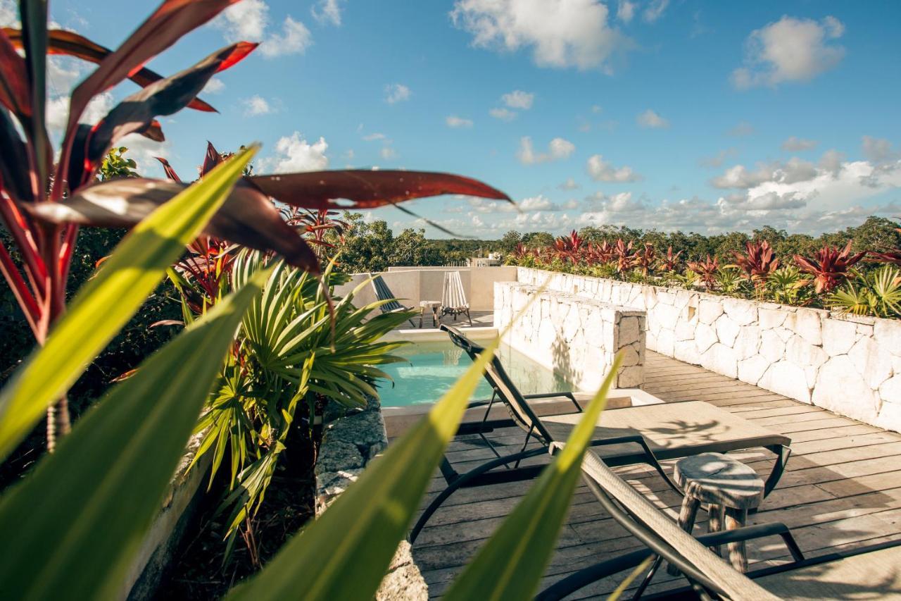 Vida Jungle Apart 7 With Special Fee To Access Hotel Bardo ตูลุม ภายนอก รูปภาพ